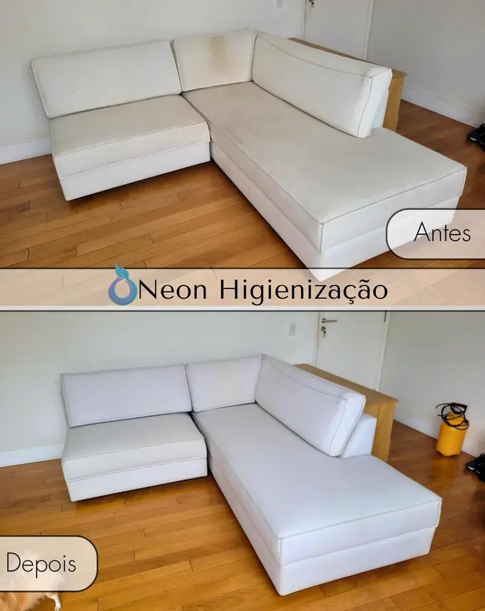 Resultado de higienização 1 - Neon Higienização