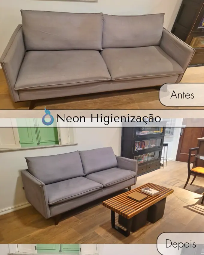 Resultado de higienização 13 - Neon Higienização
