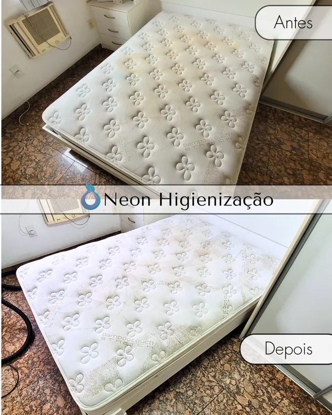 Resultado de higienização 17 - Neon Higienização
