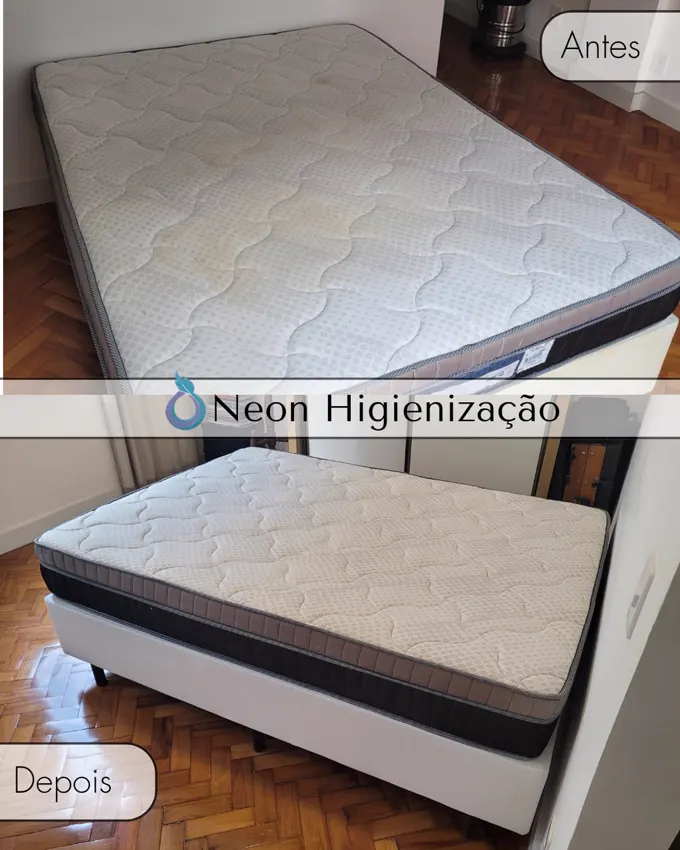 Resultado de higienização 23 - Neon Higienização