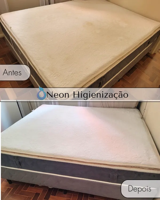 Resultado de higienização 7 - Neon Higienização